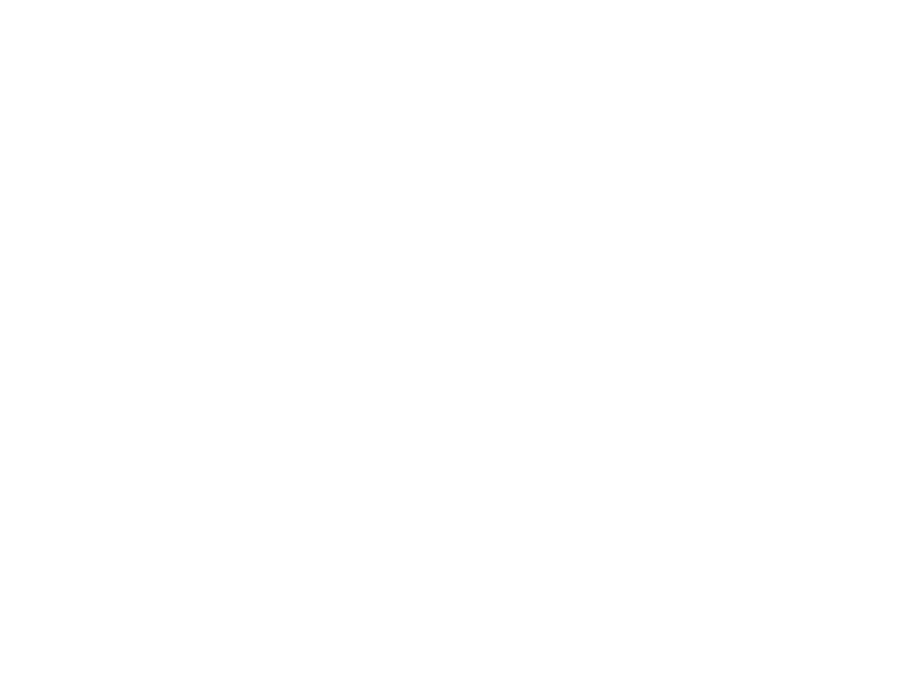 Paradise Media